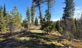 Urban Lane lot 5, Cascade, ID 83611
