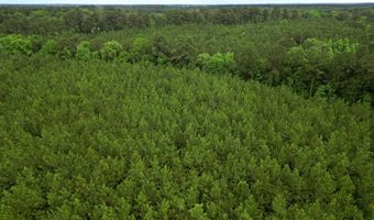 1099 Us-84, Brookhaven, MS 39601