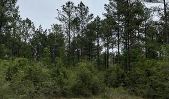 Hwy 49 lot 1, Brooklyn, MS 39425