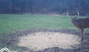 560 Th Ave, Albia, IA 52531