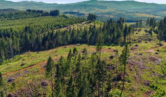 Tunnel Tract Parcel2, Banks, OR 97106
