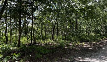 000 Private Road 1195, Aurora, MO 65605
