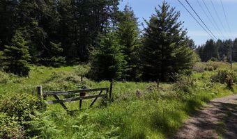 20452 Whaleshead Rd, Brookings, OR 97415