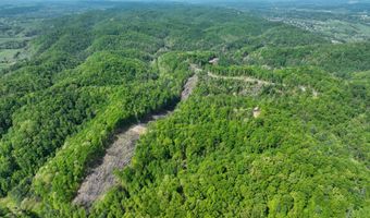 Tbd Green Springs Road, Abingdon, VA 24211