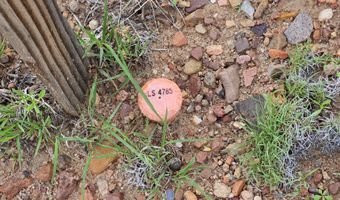 Birdwing Lane, Clay Springs, AZ 85923