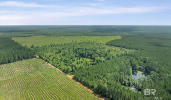 Green Town Road, Bay Minette, AL 36507