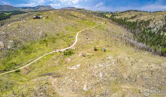 2384 Rist Creek Rd, Bellvue, CO 80512