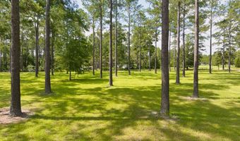 634 Alapaha River Dr, Alapaha, GA 31622