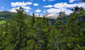 1013 RANGE Rd, Breckenridge, CO 80424