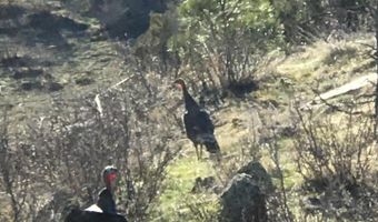 192 Moondance Way, Bellvue, CO 80512