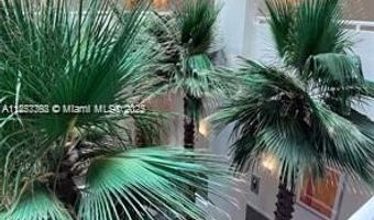 3131 NE 188th St 1-504, Aventura, FL 33180