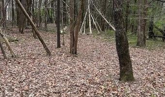 907 Stephanie Ln, Athens, TN 37303