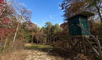 0 Progress Road Rd, Beaumont, MS 39423