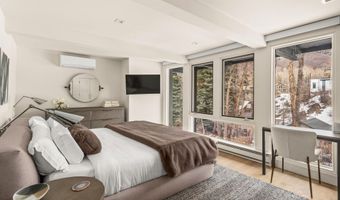 1039 E Cooper Ave 20, Aspen, CO 81611