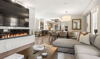 101 E Hallam St, Aspen, CO 81611