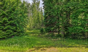 28012 Meadow Creek Rd, Bigfork, MT 59911
