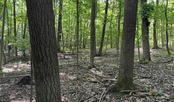 Green Road, Alfred, NY 14802