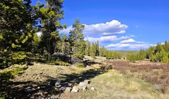 PCS # 7765 & 12057 Rollies Trail lot 0, Alma, CO 80420