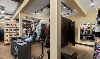 408 E Cooper Ave, Aspen, CO 81611