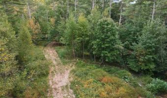 00 Peaked Hill Rd 7.1, 7.2, 7.3, 7.4, Bristol, NH 03222