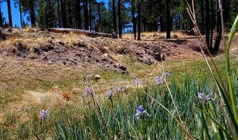 Tbd STONE CREEK RD CR 2117, Alpine, AZ 85920