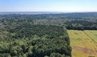 12823 LEWIS Rd, Berlin, MD 21811