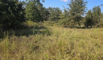 N80 Helt Rd, Antlers, OK 74525