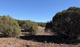 5 N8715, Concho, AZ 85924