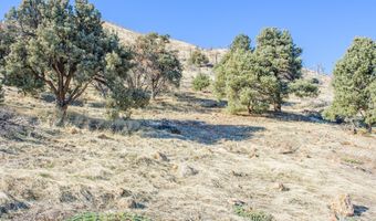 3221 Reese Ln, Gardnerville, NV 89410