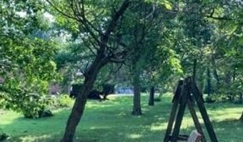 22389 Lawrence 1215, Aurora, MO 65605