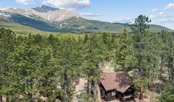 84 County Road 113 N, Allenspark, CO 80510