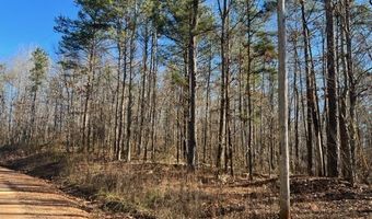 Creek Road, Ashland, AL 36251