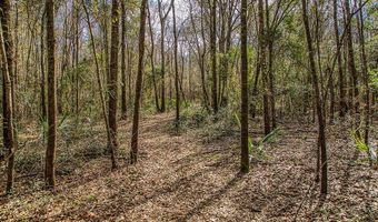 5280 Whitaker Way, Anderson, TX 77830