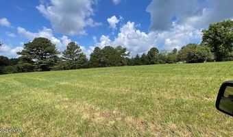 3945 Old Trezevant Rd, Atwood, TN 38220