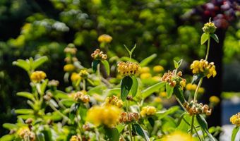 233 Wixon Ave, Aptos, CA 95003