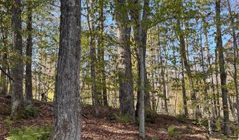 Map 227 Lot 007 Underwood Road, Acworth, NH 03601