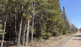 139 AC Witt Rd, Alpena, MI 49707