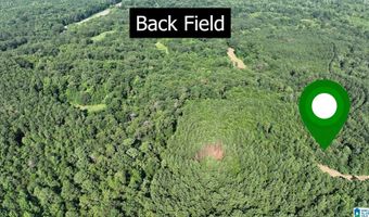 411 DR JENKINS Ln, Altoona, AL 35952