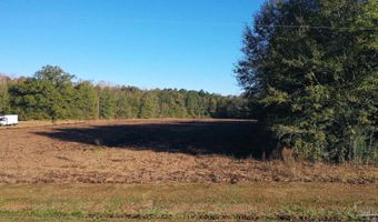 Lot 1 Freemanville Dr, Atmore, AL 36502
