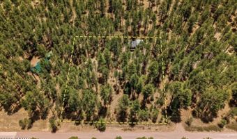 70 County Road 2266, Alpine, AZ 85920