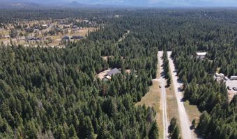 L4b1 Forsgren Ln, Athol, ID 83801
