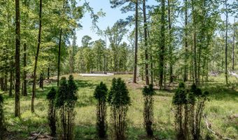 1250 Mosley Rd, Lincolnton, GA 30817