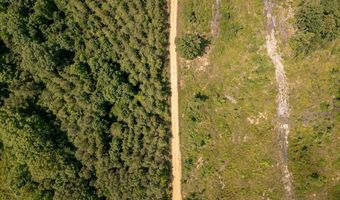 Hwy 9, Bruce, MS 38915