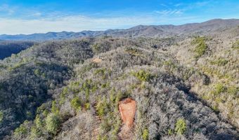 430 Live Oak Ter, Andrews, NC 28901