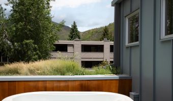 1006 E Cooper Ave, Aspen, CO 81611