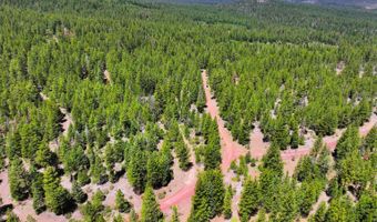 8193 Carlsberg Rd, Alturas, CA 96101