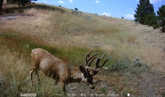00 Olde English, Casper, WY 82646