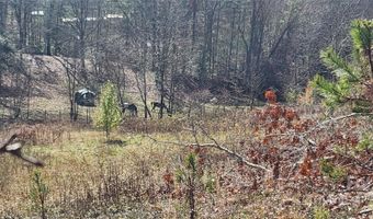 1 Gaylors Br 1, Balsam Grove, NC 28708
