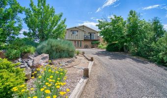 13748 Downing St, Brighton, CO 80602