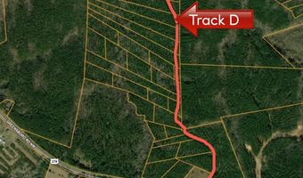 Track D Off Greensboro Road, Crawfordville, GA 30631